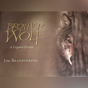 Brother Wolf  A forgotten Promise  coffee table hardback book by Jim Brandenburg